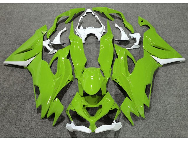 Gloss Green & White 2019-2023 Kawasaki ZX6R Motorcycle Fairing