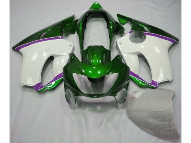 Lizard Green and Purple 1999-2000 Honda CBR600 F4 Motorcycle Fairing